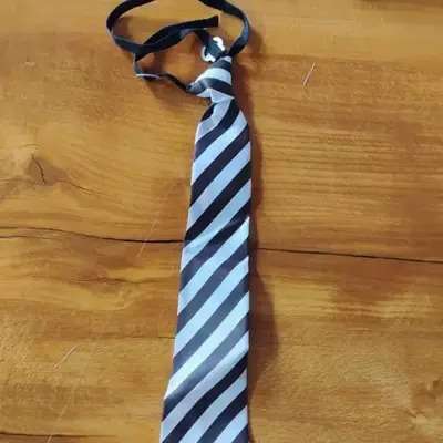 School tie blue colour